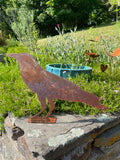 Crow