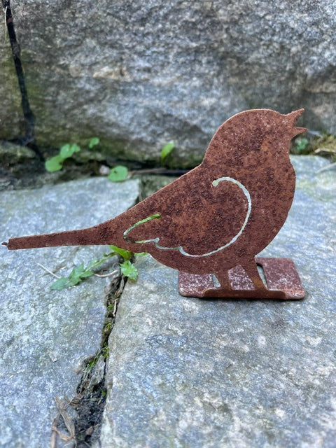 Song Bird Singing