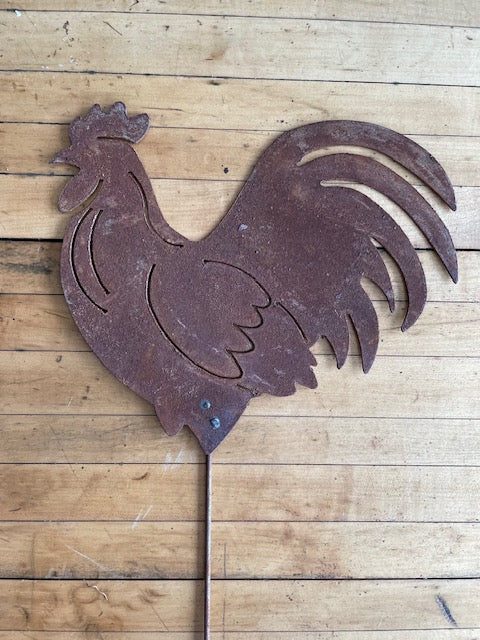 Best Rooster Ever!