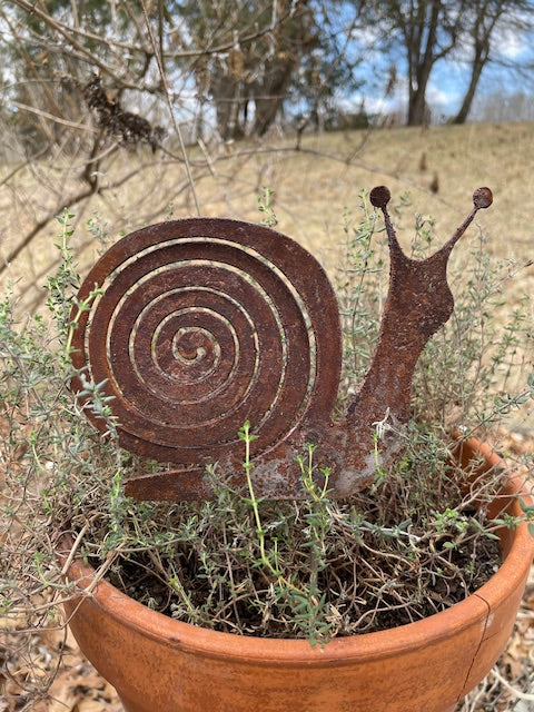 Snail