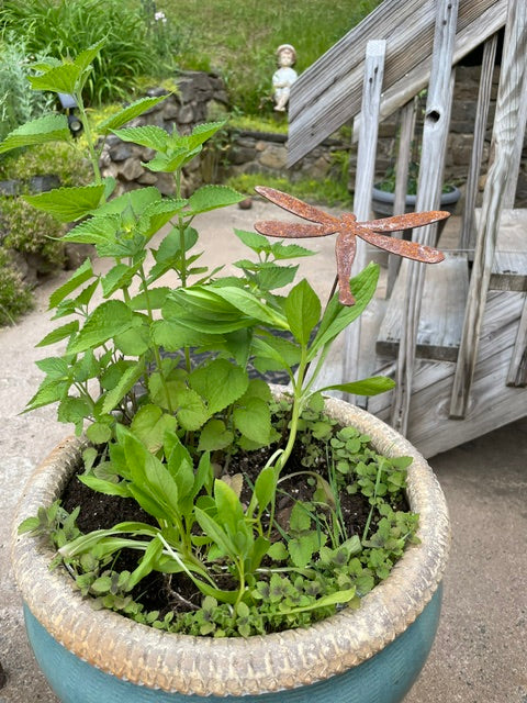 Dragonfly Garden or Flower Pot Stake (6" x 4")