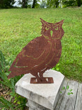 Owl
