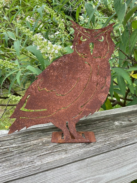 Owl