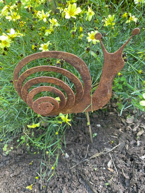 Snail