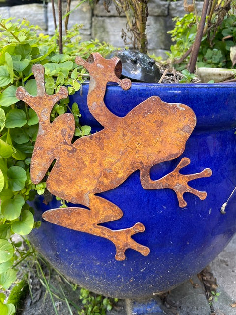 Tree Frog