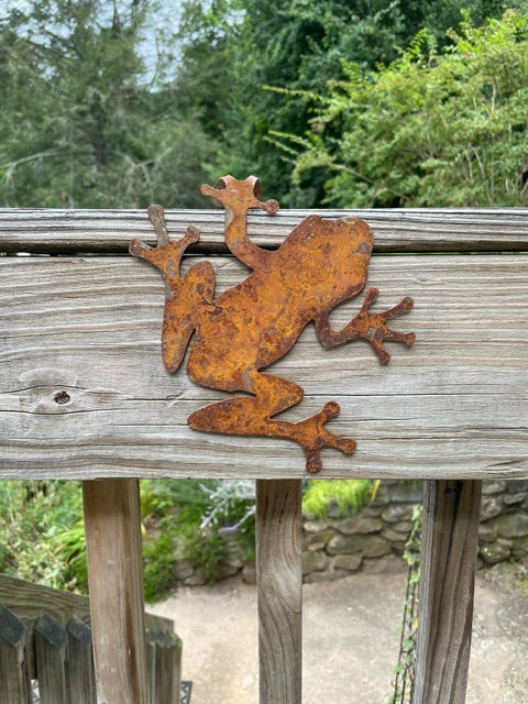 Tree Frog